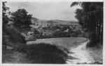 1n28sw1_1952_Heiterer Blick_v.jpg